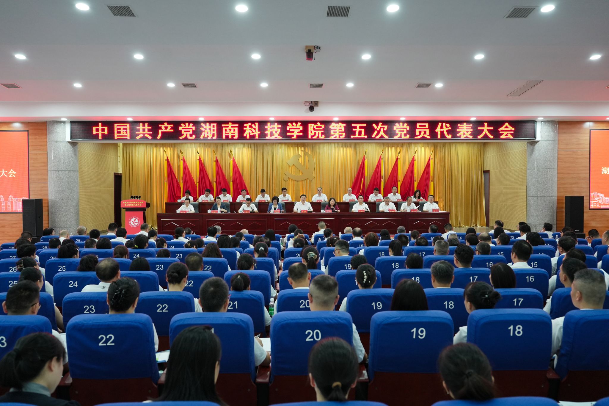 本网讯(记者 向薛峰 摄影 谢志豪)